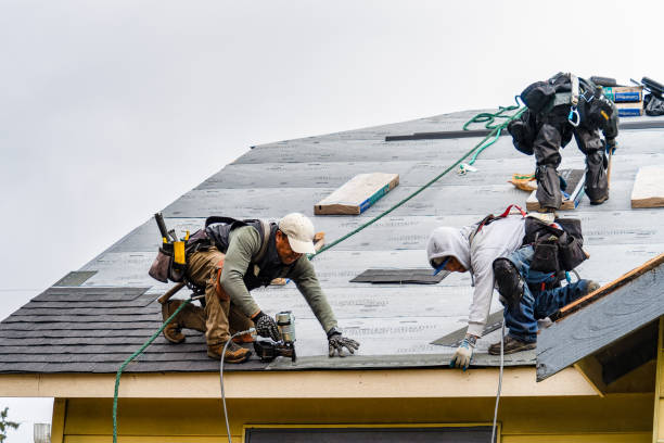 Professional Gutter Installation technician working in Prophetstown, IL